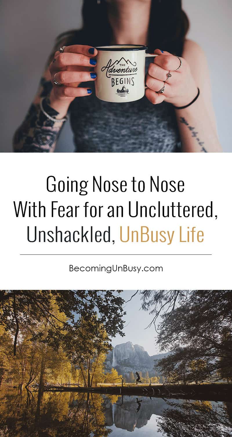 I want something different. I choose Uncluttered. Unshackled. An UnBusy Life. *Love this post and website!