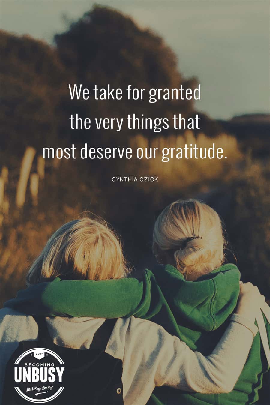 We take for granted the very things that most deserve our gratitude #quote #gratitude #BecomingUnBusy *Love this post and this site!