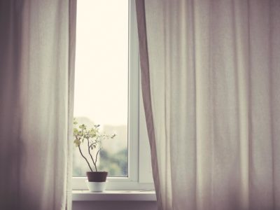 A minimalist scene of a window curtain with a simple plant peeking through.