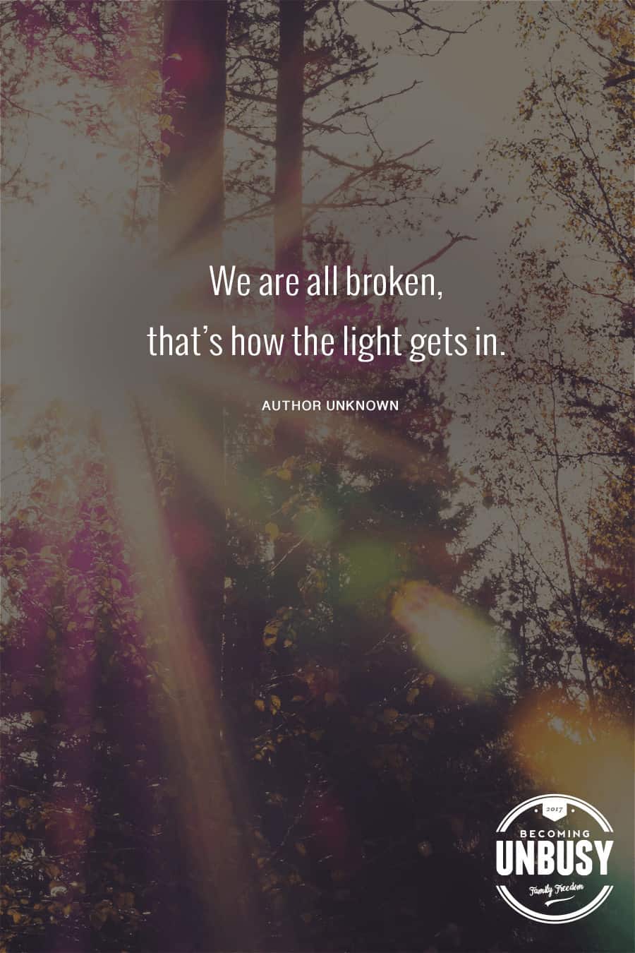 We are all broken, that's how the light gets in. #quote #findjoy *Love this quote and blog post