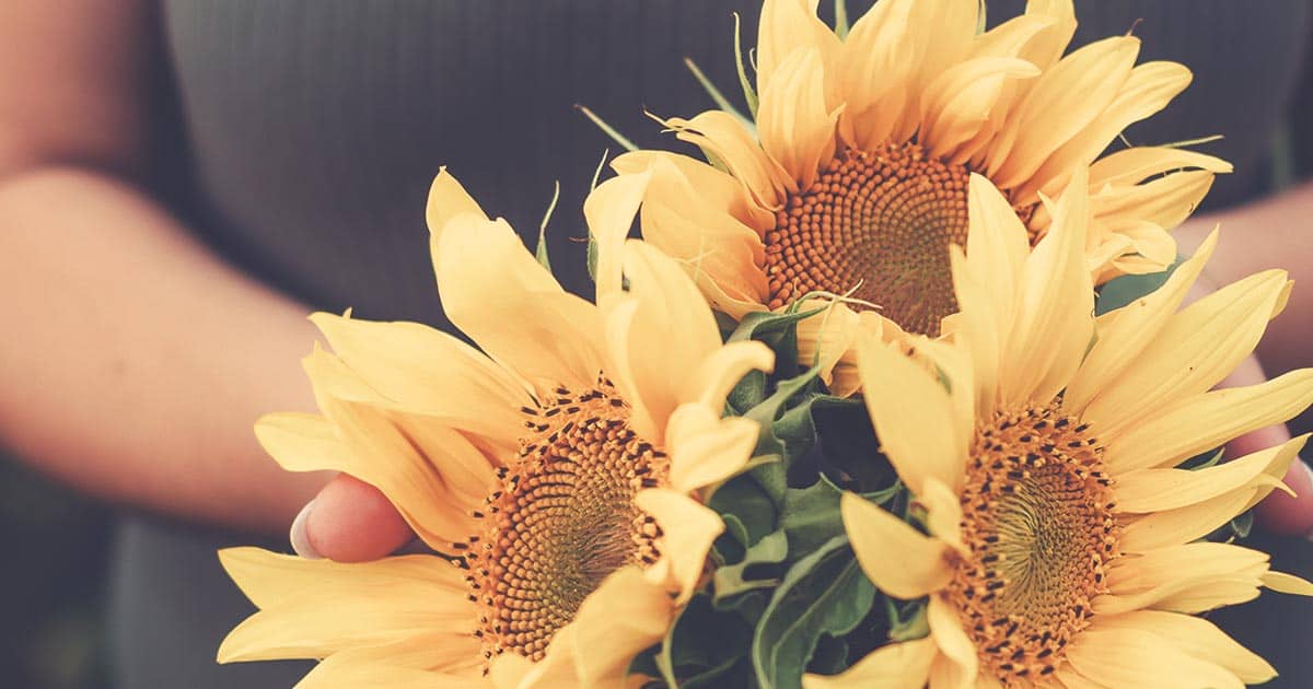 How To Start Over: 5 Steps To Reboot Your Life • Becoming UnBusy