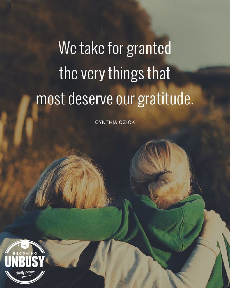 Two women side by side with arms around each other's shoulders with a quote, "We take for granted the very things that most deserve our gratitude. — Cynthia Ozick"