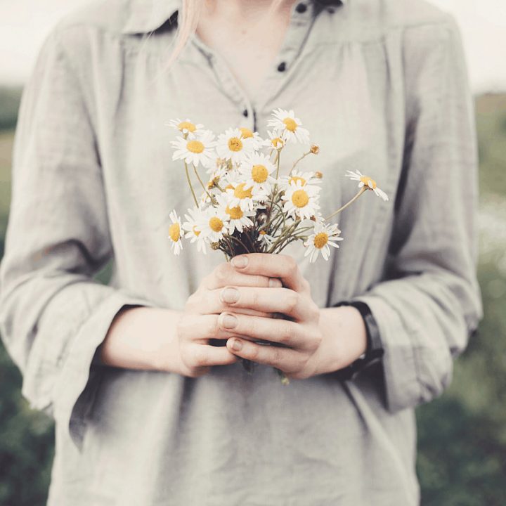 Woman's hands holding a small bouquet of daisies