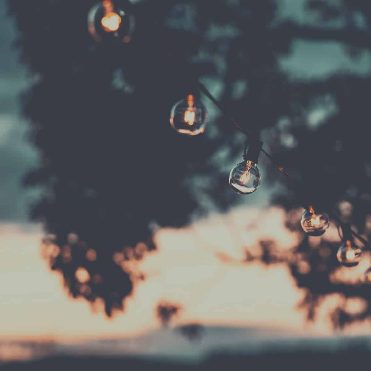 Globe string lights strung in a tree with a sky at dusk.